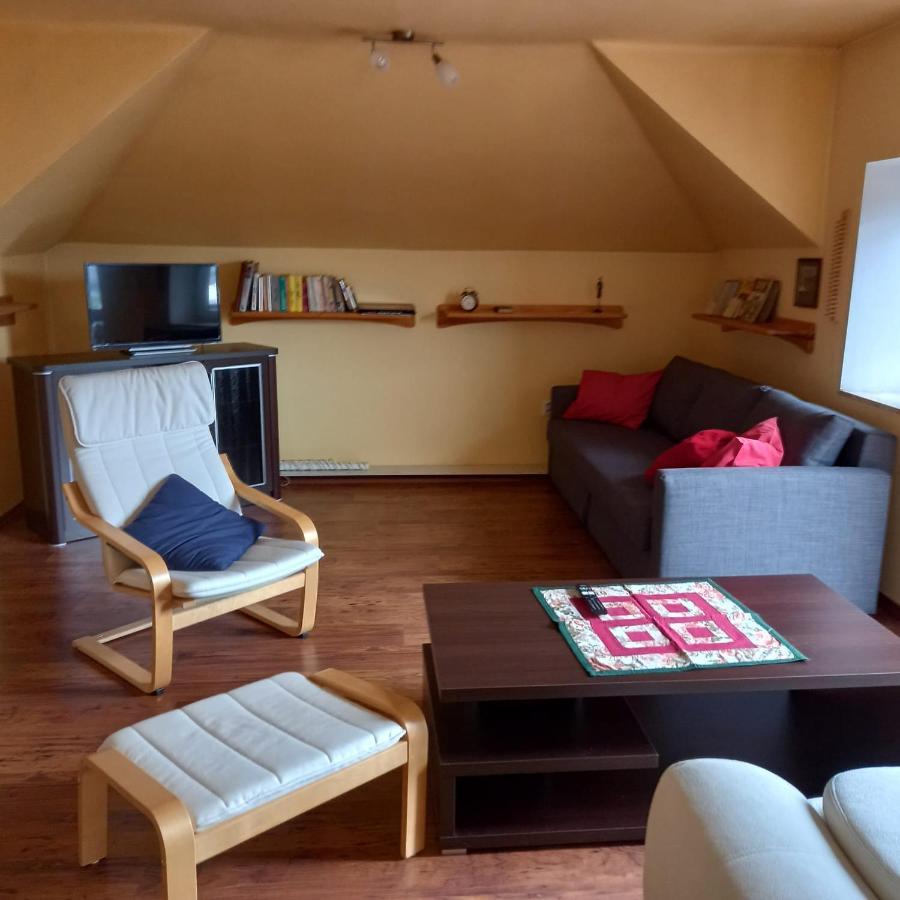 شقة Vila Hesha Český Krumlov المظهر الخارجي الصورة